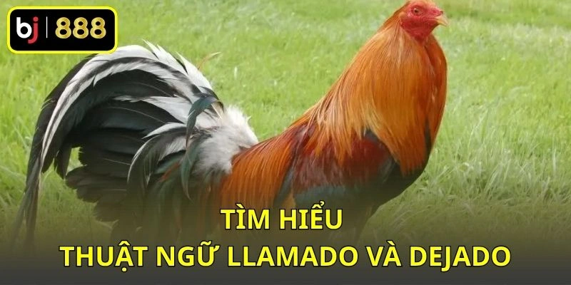 Tìm hiểu thuật ngữ Llamado và Dejado