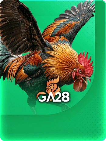 bj888-poker-cung-cap-ga28