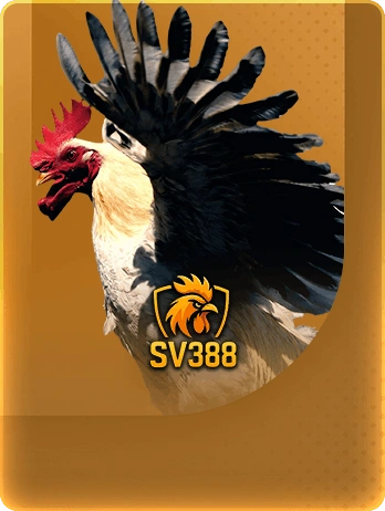 bj888-poker-cung-cap-sv388
