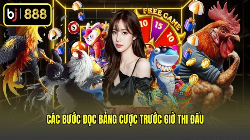 Các bước đọc bảng cược trước giờ thi đấu