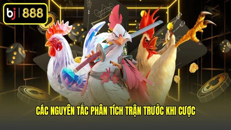 Các nguyên tắc phân tích trận trước khi cược