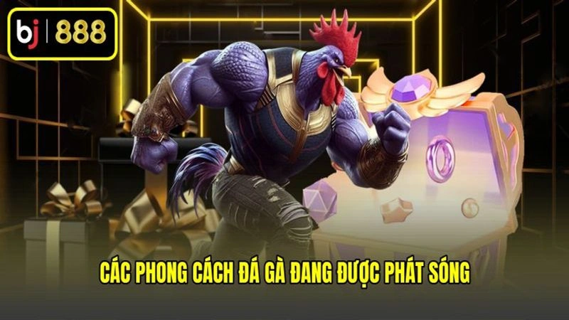 Các phong cách đá gà đang được phát sóng