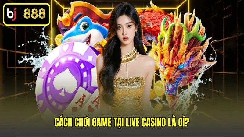 Cách chơi game tại Live casino là gì?