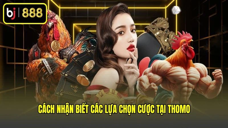 Cách nhận biết các lựa chọn cược tại Thomo Cách nhận biết các lựa chọn cược tại Thomo
