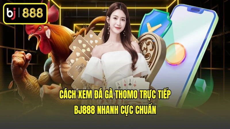 Cách Xem Đá Gà Thomo Trực Tiếp BJ888 Nhanh Cực Chuẩn