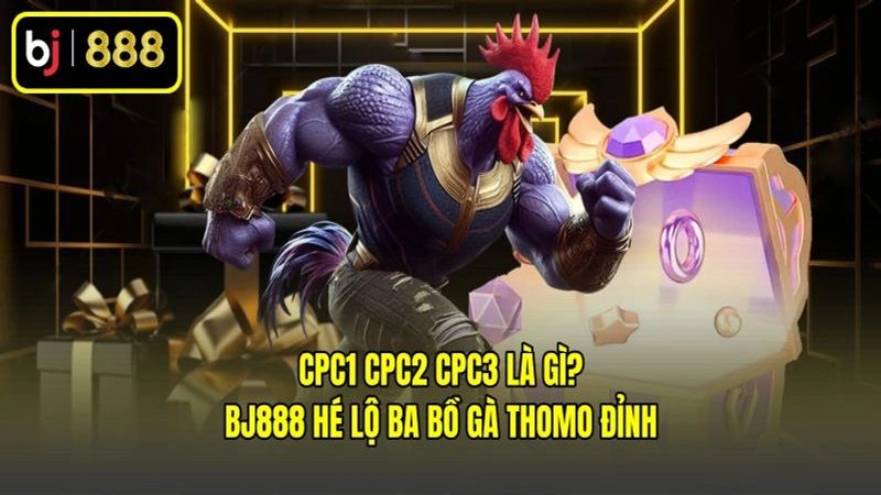 CPC1 CPC2 CPC3 Là Gì? BJ888 Hé Lộ Ba Bồ Gà Thomo Đỉnh