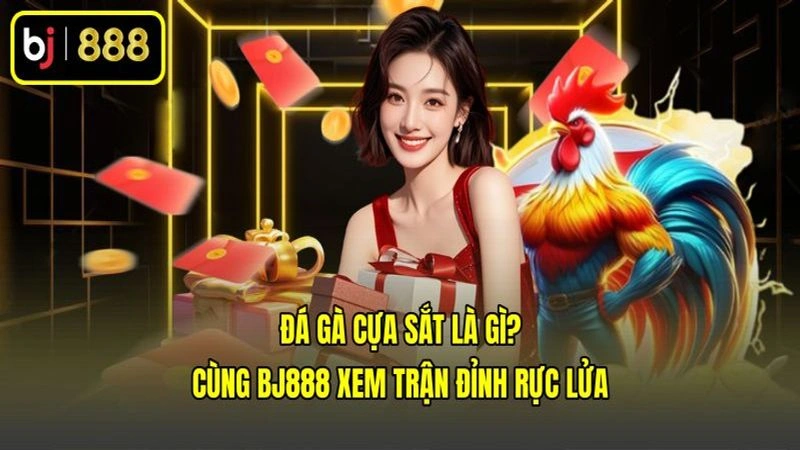 Đá Gà Cựa Sắt Là Gì? Cùng BJ888 Xem Trận Đỉnh Rực Lửa
