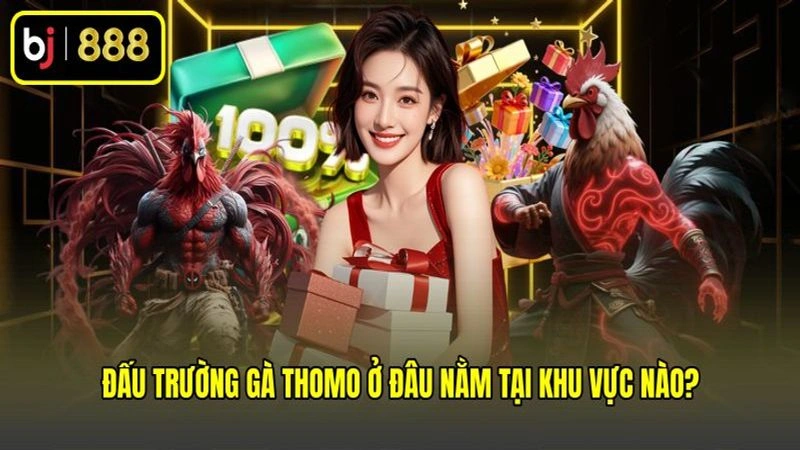 Đấu trường gà Thomo ở đâu nằm tại khu vực nào?