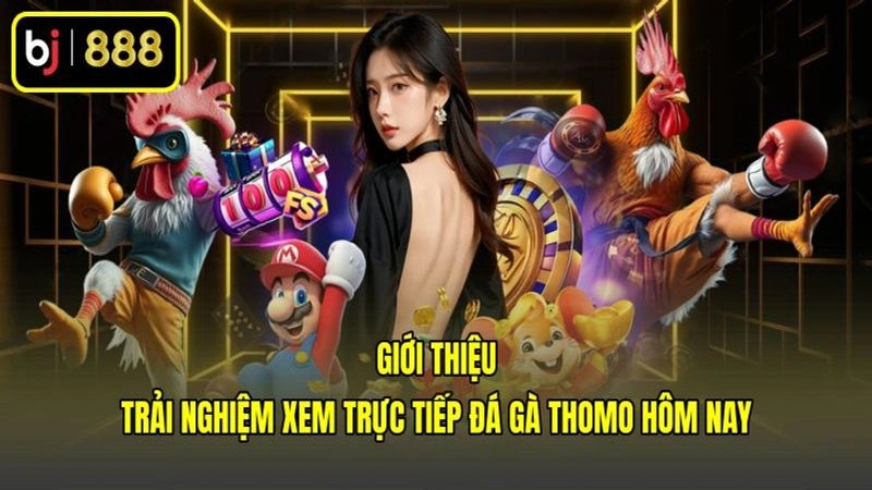Giới thiệu trải nghiệm xem trực tiếp đá gà Thomo hôm nay Giới thiệu trải nghiệm xem trực tiếp đá gà Thomo hôm nay