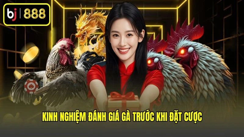 Kinh nghiệm đánh giá gà trước khi đặt cược