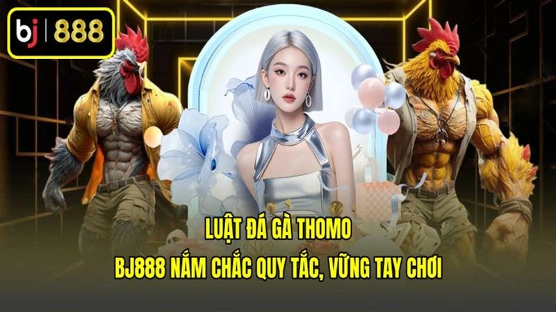 Luật Đá Gà Thomo BJ888 Nắm Chắc Quy Tắc, Vững Tay Chơi