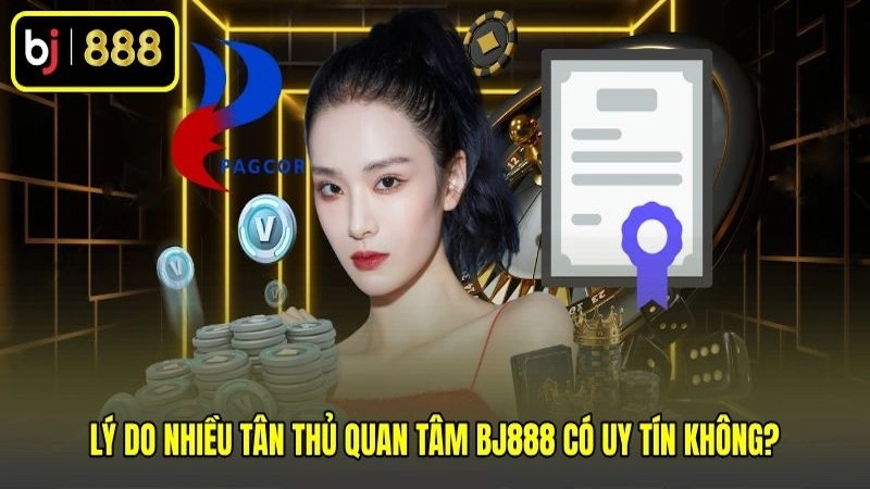 Lý do nhiều tân thủ quan tâm BJ888 có uy tín không? Lý do nhiều tân thủ quan tâm BJ888 có uy tín không?