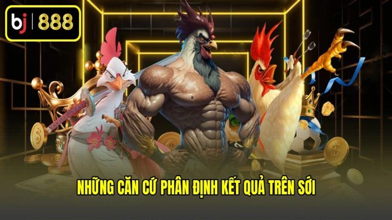 Những căn cứ phân định kết quả trên sới