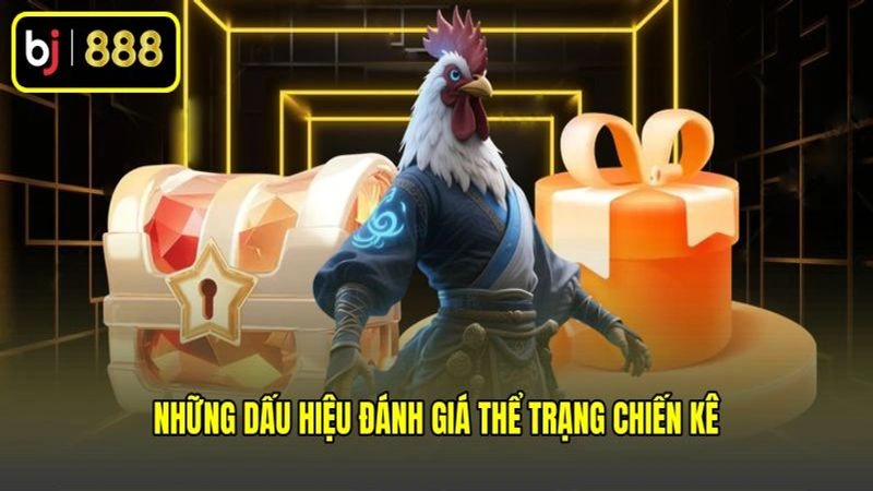 Những dấu hiệu đánh giá thể trạng chiến kê