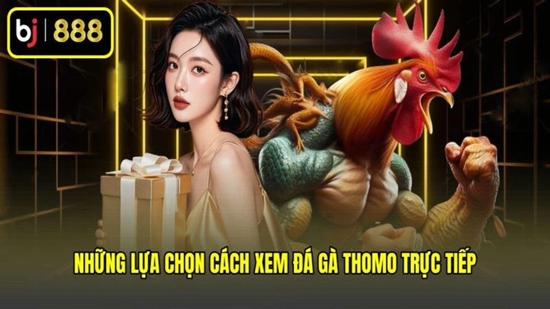 Những lựa chọn cách xem đá gà Thomo trực tiếp