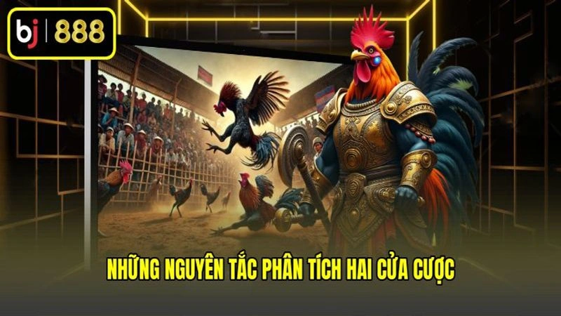 Những nguyên tắc phân tích hai cửa cược