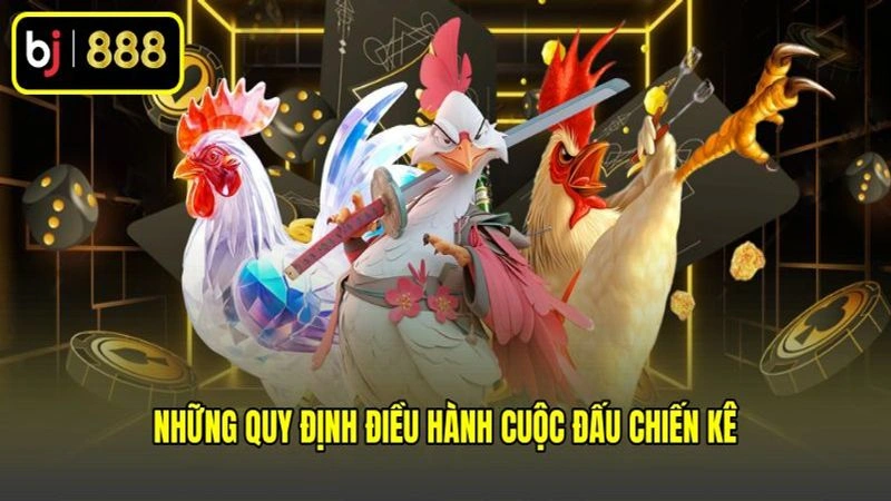 Những quy định điều hành cuộc đấu chiến kê
