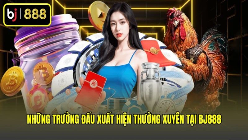 Những trường đấu xuất hiện thường xuyên tại BJ888
