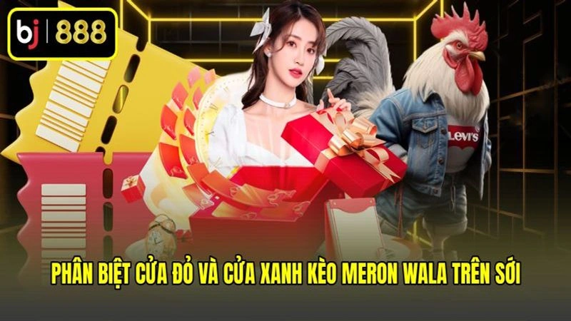 Phân biệt cửa đỏ và cửa xanh kèo Meron Wala trên sới