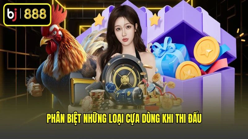 Phân biệt những loại cựa dùng khi thi đấu
