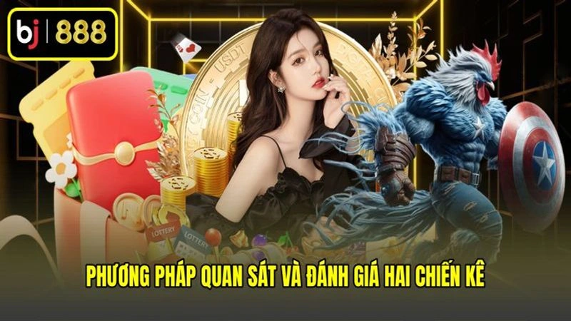 Phương pháp quan sát và đánh giá hai chiến kê