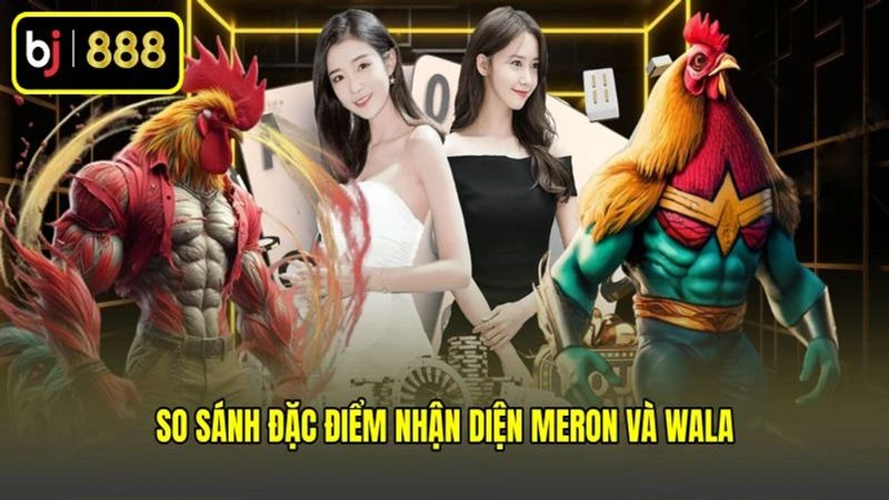 So sánh đặc điểm nhận diện Meron và Wala