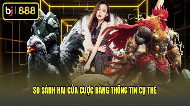 So sánh hai cửa cược bằng thông tin cụ thể