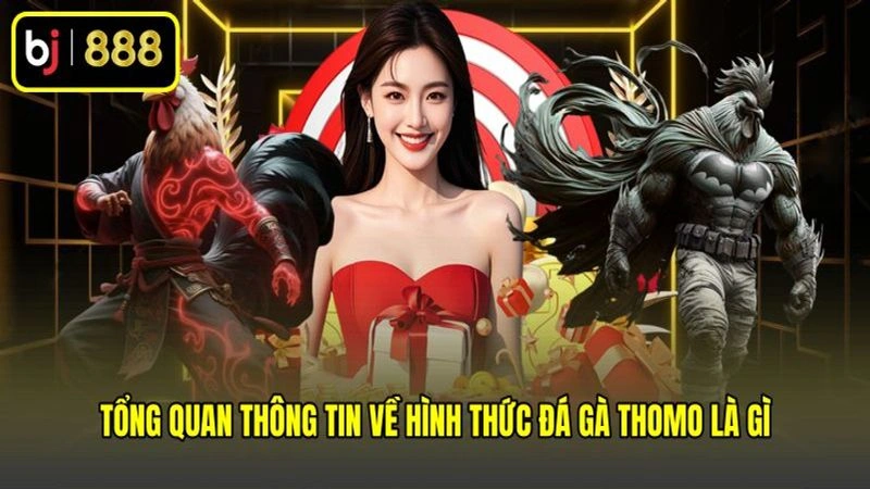 Tổng quan thông tin về hình thức đá gà Thomo là gì