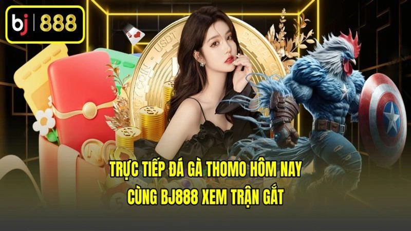 Trực Tiếp Đá Gà Thomo Hôm Nay Cùng BJ888 Xem Trận Gắt